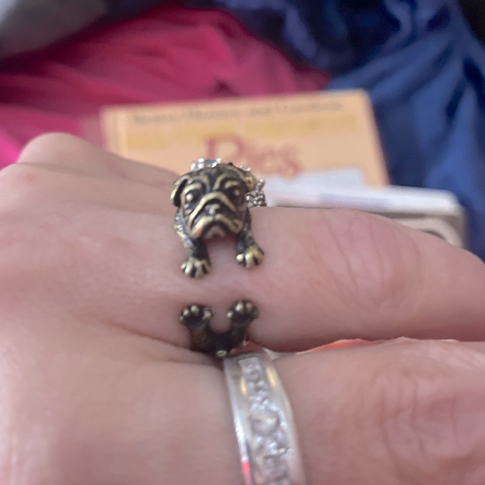 Pug Hug Adjustable Ring 🐼🐼🐼